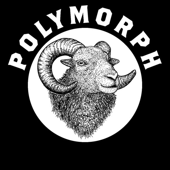 polymorphclub